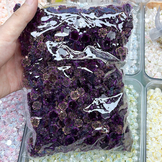 🌹本日限定特価|ソフトローズ大放出、数量限定・早い者勝ち 82番